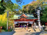 来宮神社イメージ
