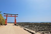 青島イメージ(宮崎県観光協会)