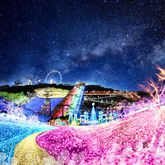 さがみ湖イルミリオンイメージ