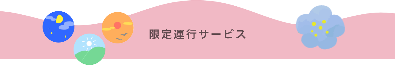 限定運行サービス