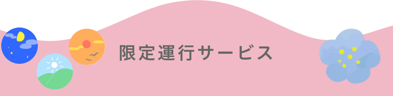 限定運行サービス